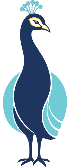 Light blue and blue peacock looking to right