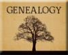 Genealogy icon